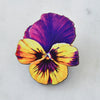 Watercolour Pansy Brooches